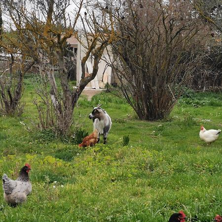 La Petite Maison Αρλ Εξωτερικό φωτογραφία