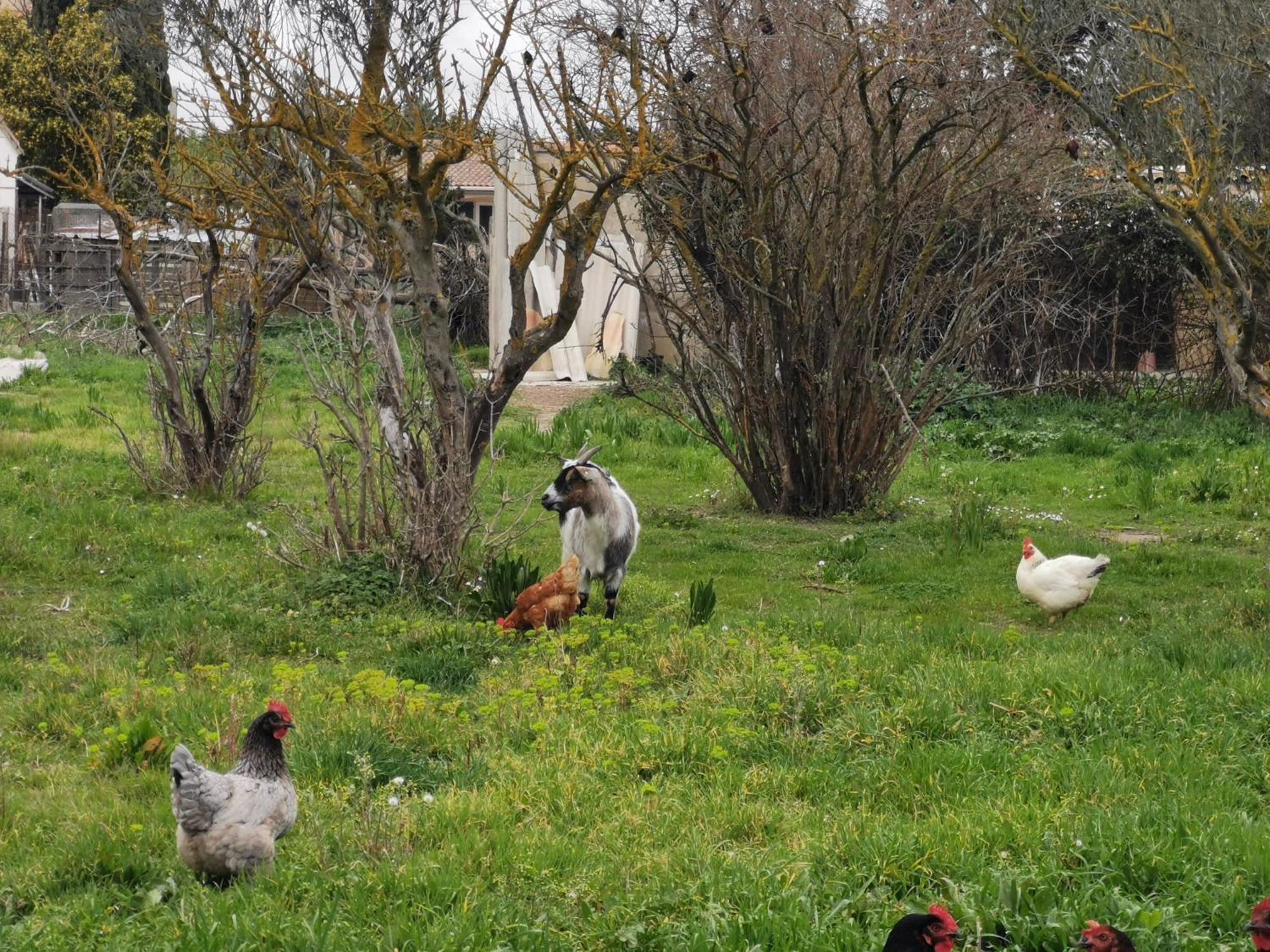La Petite Maison Αρλ Εξωτερικό φωτογραφία